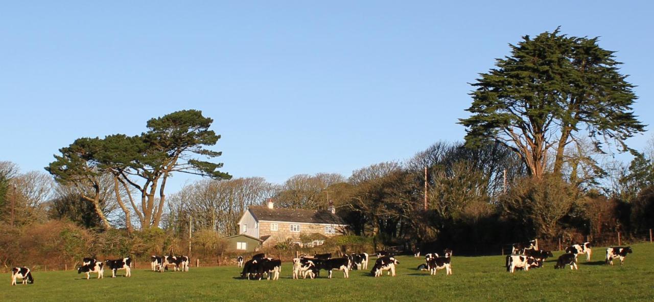 St Ives Coombe Farmhouse B&B 외부 사진