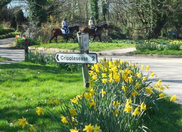 St Ives Coombe Farmhouse B&B 외부 사진