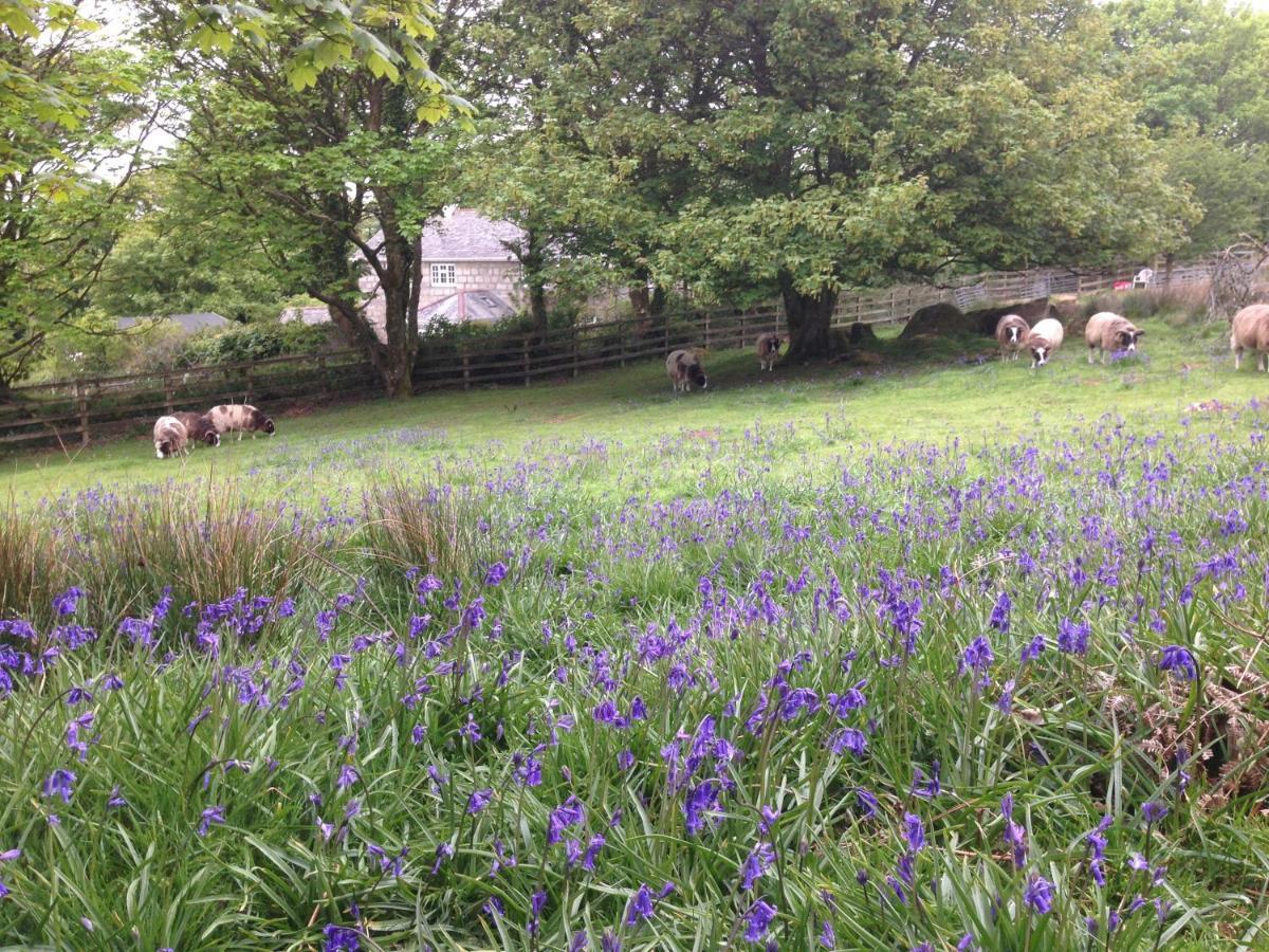 St Ives Coombe Farmhouse B&B 외부 사진