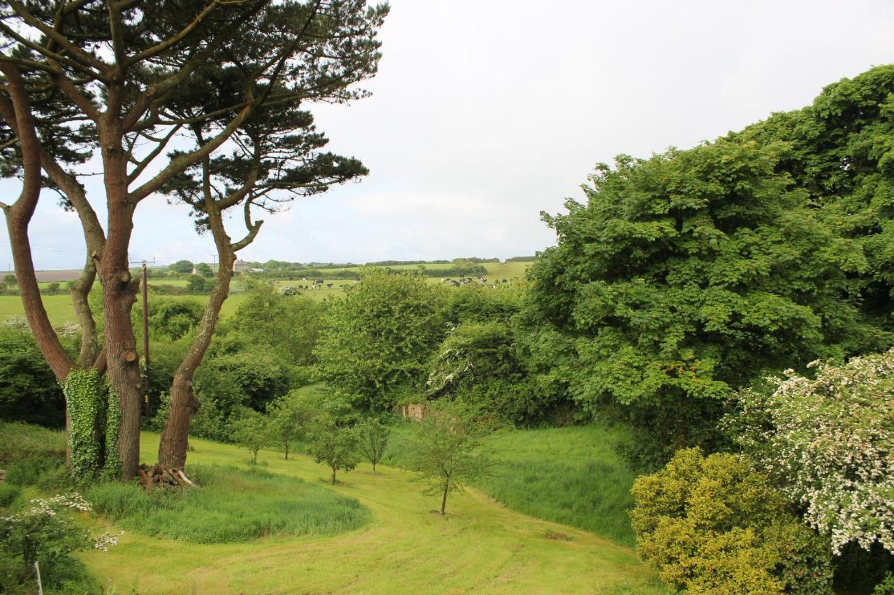 St Ives Coombe Farmhouse B&B 외부 사진