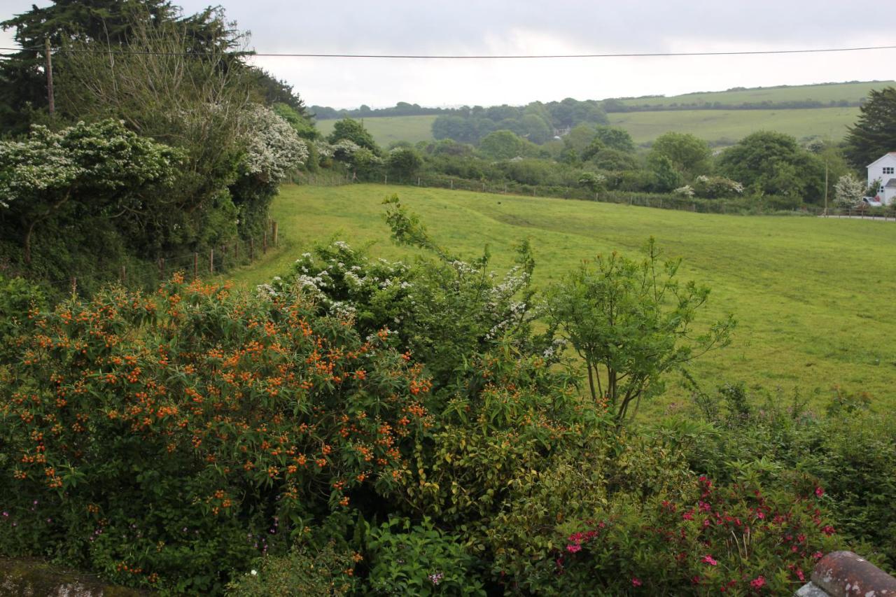 St Ives Coombe Farmhouse B&B 외부 사진